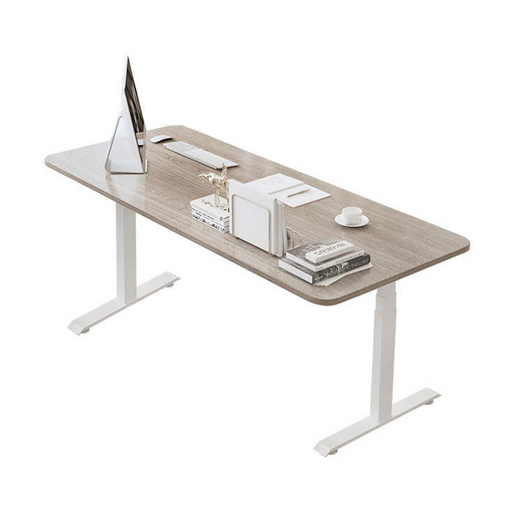 Modern Design Style Height Adjustable Dual Motor Stand Up Desk for Home Office Gaming