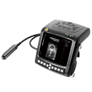 China Full Digital B Mode Ultrasonic Diagnostic Instruments KX5200 Veterinary Ultrasound Machine supplier