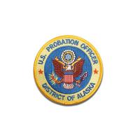 China 3D Embroidery Custom Air Force Patches , 2.5'' Adhesive Clothing Patches on sale