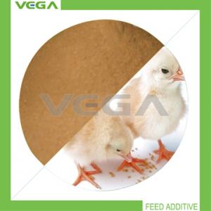China Bacitracin Zinc Animal Feed China Manufacturer supplier
