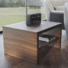 China Small Coffee Table With Two Layers Of Storage, Living Room, Office, Side Table, Exit, Coffee Table wholesale