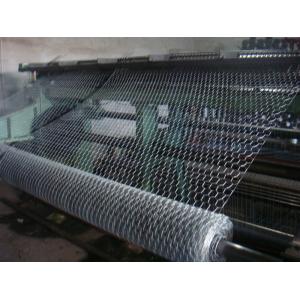 China China Factory plastic coated HEXAGONAL wire mesh supplier