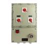 China Explosion Proof Isolator Breaker for Area Zone1 Zone2 Zone21 Zone22 Explosion Resistant Gear wholesale