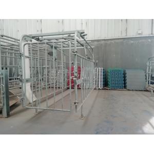 China Corrosion Resistance Customized Pig Farm Gestation Crate supplier