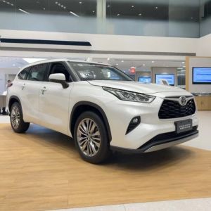 China Cuatro ruedas ESC avanzado y tecnología híbrida La combinación ganadora en Highlander supplier