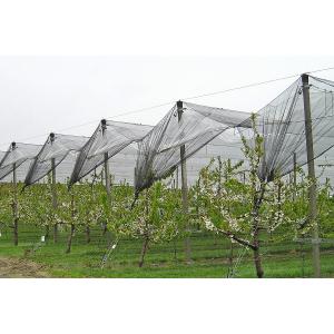 Agriculture Plastic Anti-Hail Nets With Anti Uv For Fruit And Vegetable