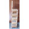 Retail Store Shelving System Wooden Display Stand With Custom Advertising Logo