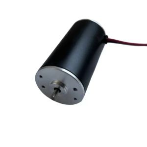 China 36ZYT Series Dc Brushed Motor 12v 24v 48v  IP50 IP54 High Torque wholesale
