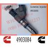 China 4903084 CUMMINS Diesel Fuel Injector 4307547 Injection M11 Engine wholesale