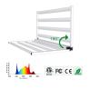 China External Control Full Spectrum LED Grow Light For Multi Layer Canopy Setup wholesale