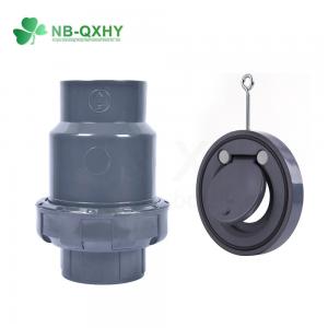 Customization DIN JIS ANSI Standard Plastic Check Valve for Water Industrial Usage