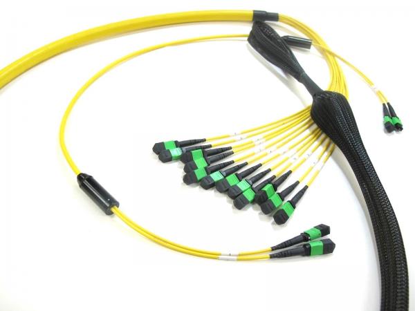 MPO To MPO Trunk Cable , Telecom Single Mode Fiber Optic Cable High Bandwidth 12