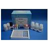 China Plasmid Detection Kanamycin Fine Test Elisa Kit high repetitive wholesale