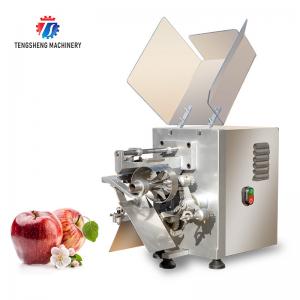 220V Custom Commercial Fruit Peeler , Electric Apple Peeler And Corer Machine Tengsheng