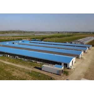 Galvanized Steel Structure Poultry House Windproof Steel Chicken House