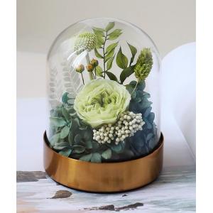 China Gift Preserved Dried Flowers Glass Dome Austin Rose For Valentine'S Day Birthday supplier