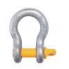 China 1 Inch Standard WLL 8.5 Tons Wide Body Shackles wholesale