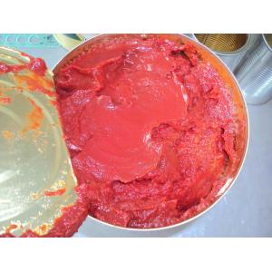 Canning Fresh Tomato Sauce , Tomato Paste Can Commercial Sterilization