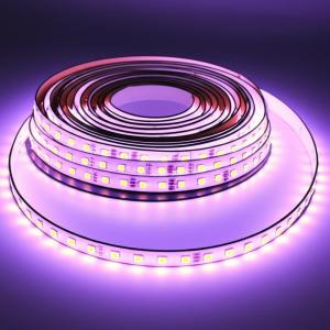 China Effortlessly Install High Voltage LED Strip Light Lightweight and Create Different Atmospheres for Any Installation supplier