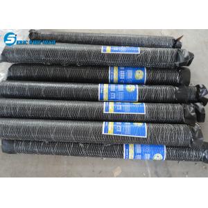 China Low price low price electro fishing hexagonal wire mesh supplier