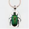 20pcs Resin Insect Specimen Keychain As Beautiful Fashion Key Chain