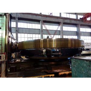 Segmented Cylindrical Girth Gear And Pinion Spur Gear with Gear Milling and Gear Hobbing