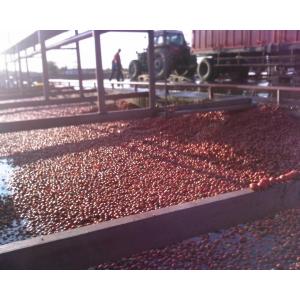 High Capacity Fresh Tomato Puree Processing Line 6.5 Tons/Hour