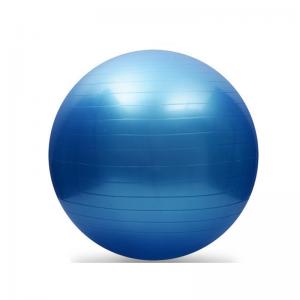 High Density Anti Burst Gym Ball , Blue Fitness Balance Ball Custom Logo