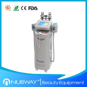 Hot promotion!!!!! 2014 Newest Beauty Equipment Cryolipolysis Fat Reducing Machine