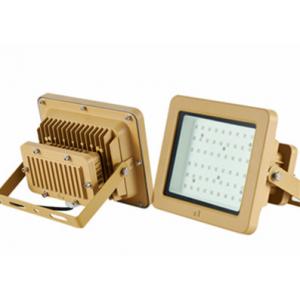 China Gold 50w Led Expolsion Proof Flood Light WF2 Zone 1 And 2 Flame Proof Lights supplier