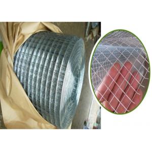 Lawn Edging BWG16 Electro Galvanized Wire Mesh Rolls