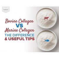 Hydrolyzed Bovine Collagen powder macromolecular collagen polypeptide halal collagen powder