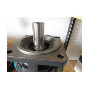 Gear pump for Foton Lovol Loader, CBGJ3100, 9F650-56A010000A0
