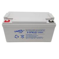 China Liruisi 65Ah 12V Lead Acid Batteries VRLA 6-GFM-65 For Uninterruptible Power System on sale