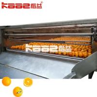 China Automatic Juice Squeezer Freshly Squeezed Juice Production Line SUS304 on sale