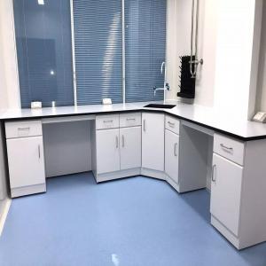 China School Chemistry Lab Workbench With PP Sink supplier