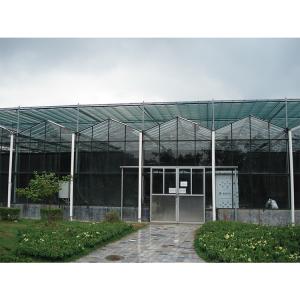 China Customizable Multi Span Greenhouse With Side Vent And Roof Height 3.73M wholesale
