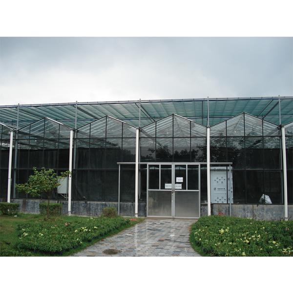 Customizable Multi Span Greenhouse With Side Vent And Roof Height 3.73M