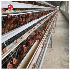 China A Type Layer Chicken Cage Cold Galvanizing Gantry Feeding supplier