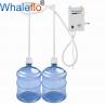 China Whaleflo BW series 5 gallon water pump bottle dispenser system double duel 110V/230V white color wholesale