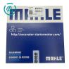 China MAHLE Pston Ring Kit 03890N0 for Volvo 6600 Engine wholesale
