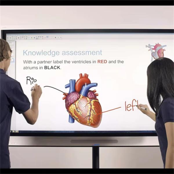 75 Inch LCD Interactive Smart Board Touch Digital Whiteboards Interactive Monitor Display Screen
