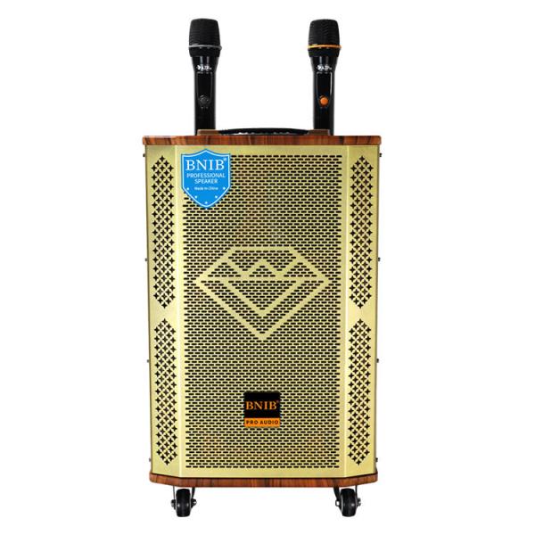 12 Inch Portable Trolley Speaker With Microphone Big Power Bluetooth 5.0