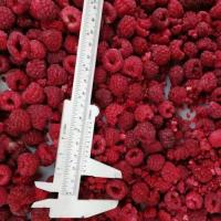 China No Additive Nutritious IQF Raspberries For Cake Decoration on sale