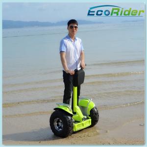 China Waterproof Electric Chariot Scooter Two Imported DC Motor 12 Months Warranty supplier