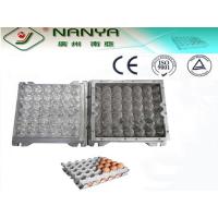 China PC Plastic / Aluminum Egg Tray Mould with CAD computerized sysytem on sale