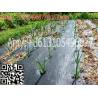 woven geotextile Plastic Modling Type Mulch plastic film for agriculture weed