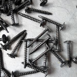 China Mushroom Head Square Phillips Drive Self Drilling Screws For Solar Photovoltaic Stainless Steel A2 Zinc Coating supplier