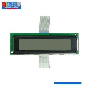China High Contrast STN LCD 192*64 Dot Matrix LCD Screen For Electronic Devices supplier