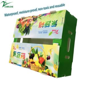 Hot Selling PP Foldable Water-proof Corrugated Plastic Box For Agriculture Packing Box